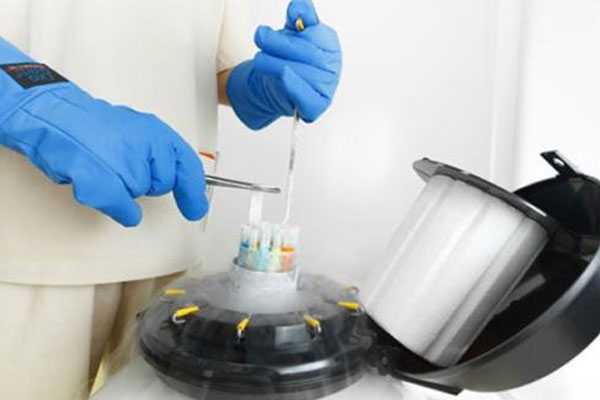 冷冻精子一年要花多少钱？